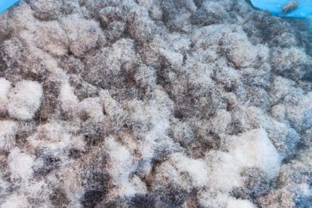 Bulk plastic fiber scrap material with tangled nylon fibers, representing low bulk density recycled feedstock for twin-screw extrusion and compounding processes.